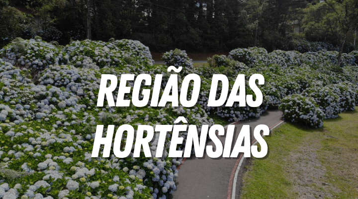 região das hortênsias